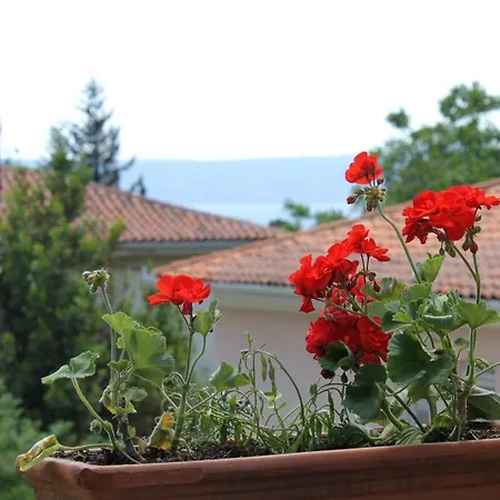 With A Parking Space Moscenicka Draga, Opatija - 2327 Lejlighed *